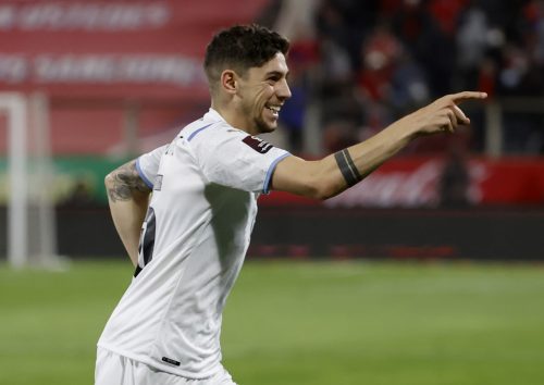 Federico-Valverde-celebrates-scoring-for-Uruguay