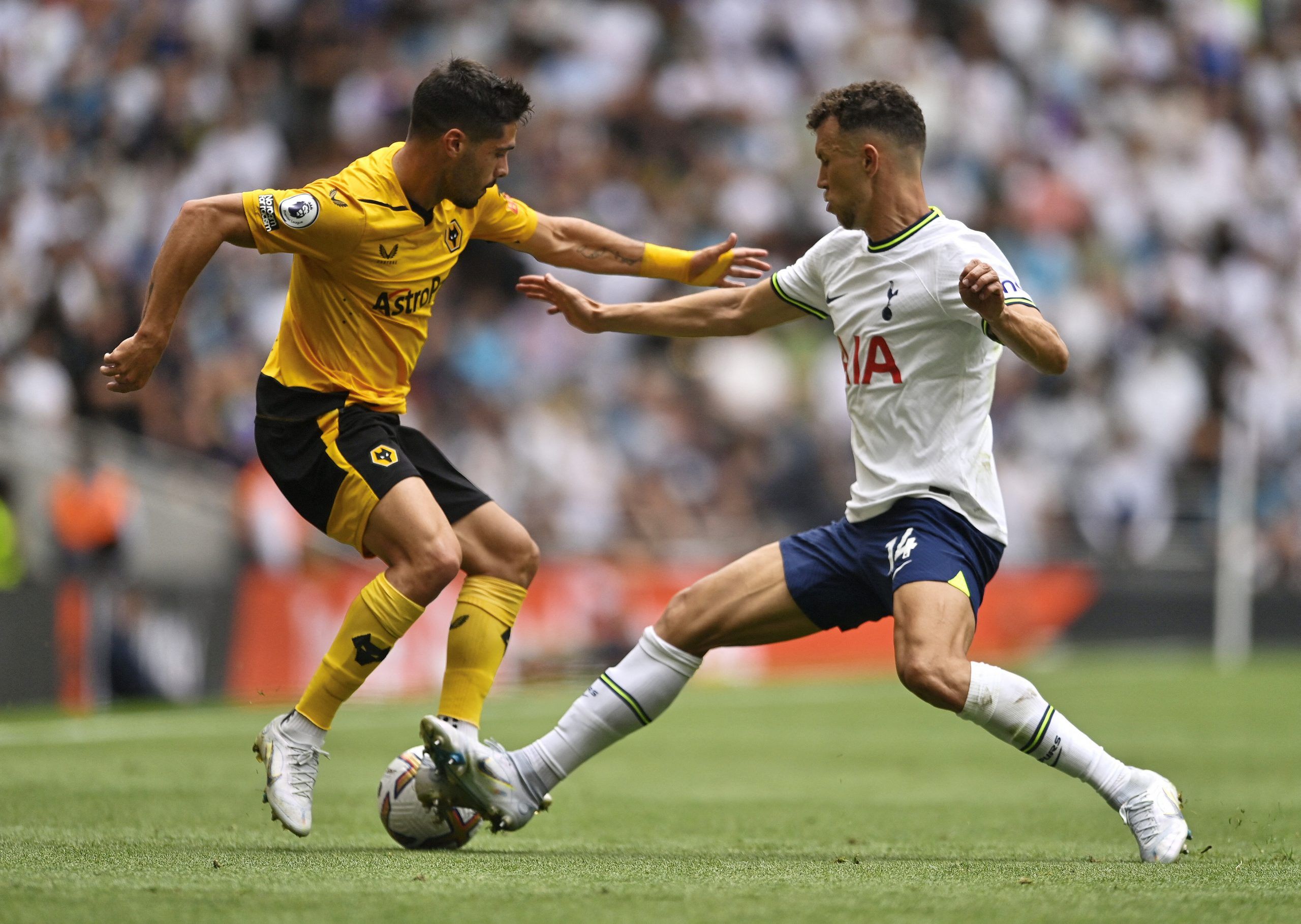 Wolves: Pedro Neto could be tempted by Arsenal move -Wolves News