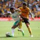 Wolves' Ruben Neves challenges Jacob Murphy for possession