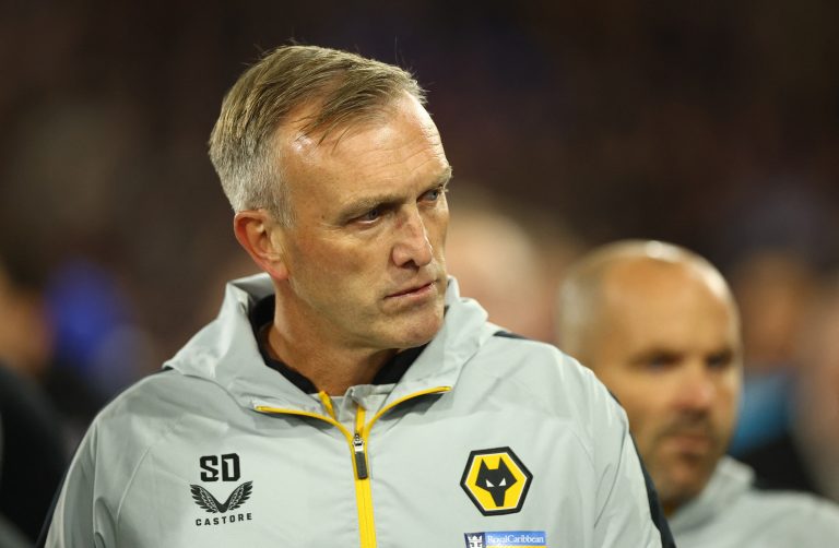 Wolves: Steve Davis will be manager until World Cup