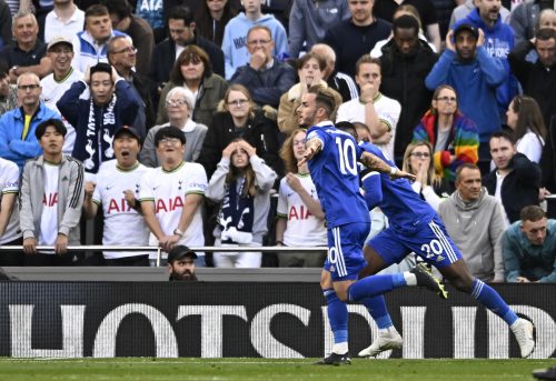 Newcastle target James Maddison celebrates scoring for Leicester