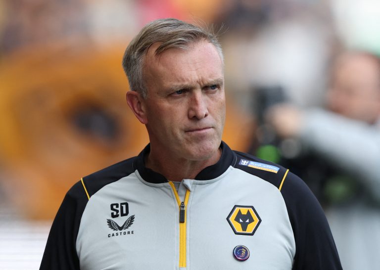 Wolves-interim-manager-Steve-Davis