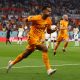 cody-gakpo-southampton-transfer-news-world-cup-netherlands-louis-van-gaal-psv-eredivisie-transfer-premier-league-manchester-united