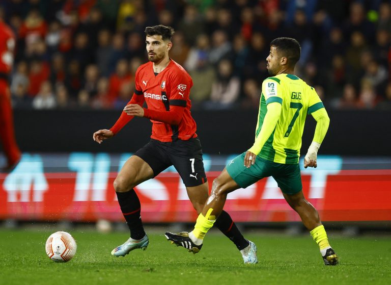 Newcastle United: Martin Terrier ‘would be able’ for the Premier League