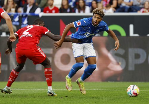TSG 1899 Hoffenheim's Georginio Rutter