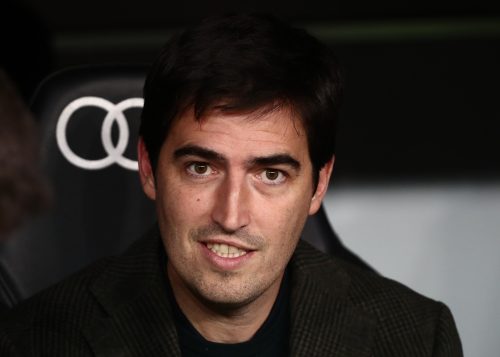 Rayo Vallecano coach Andoni Iraola has been linked with the Leeds manager's job