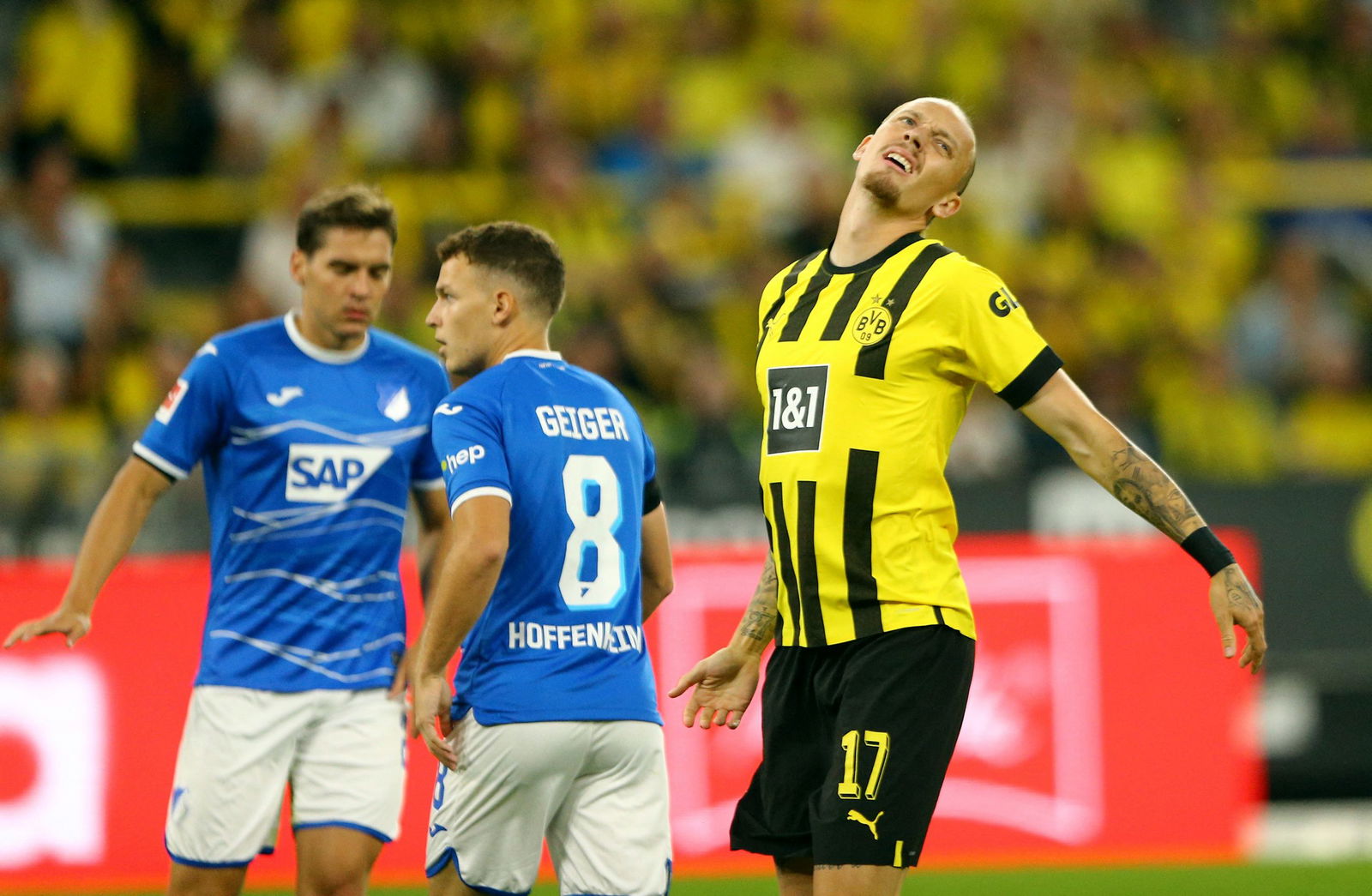 dennis-geiger-hoffenheim