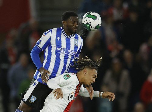 Sheffield Wednesday's Dominic Iorfa in action