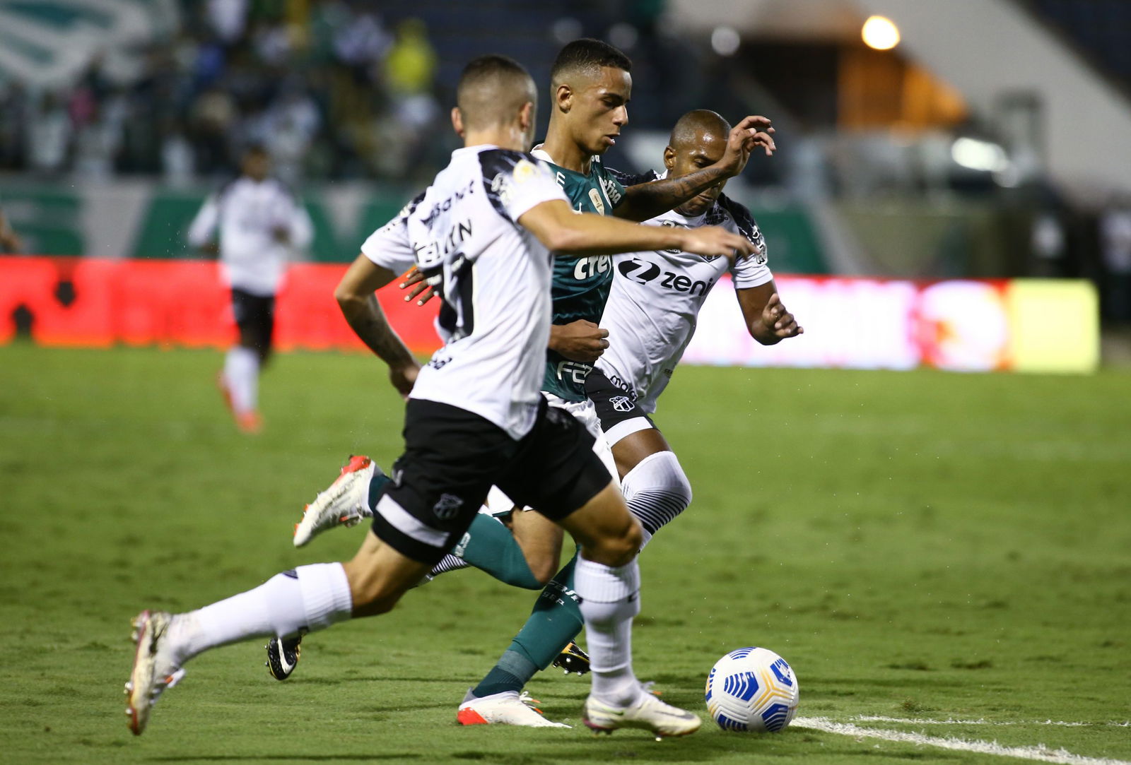 giovani-palmeiras