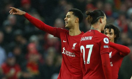 Cody-Gakpo-celebrates-scoring-for-Liverpool