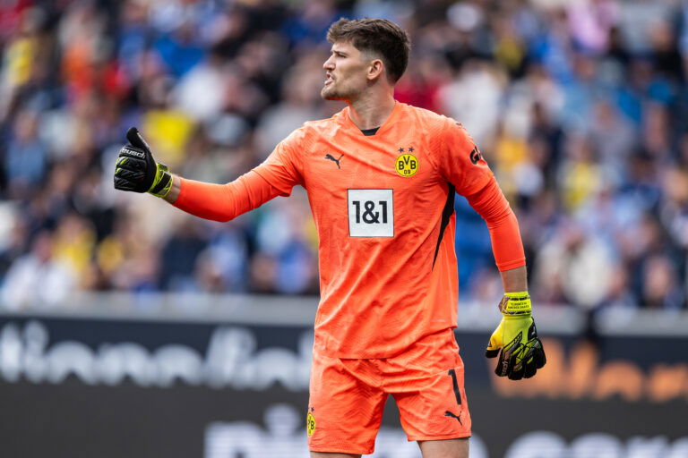 TSG 1899 Hoffenheim v Borussia Dortmund - Bundesliga