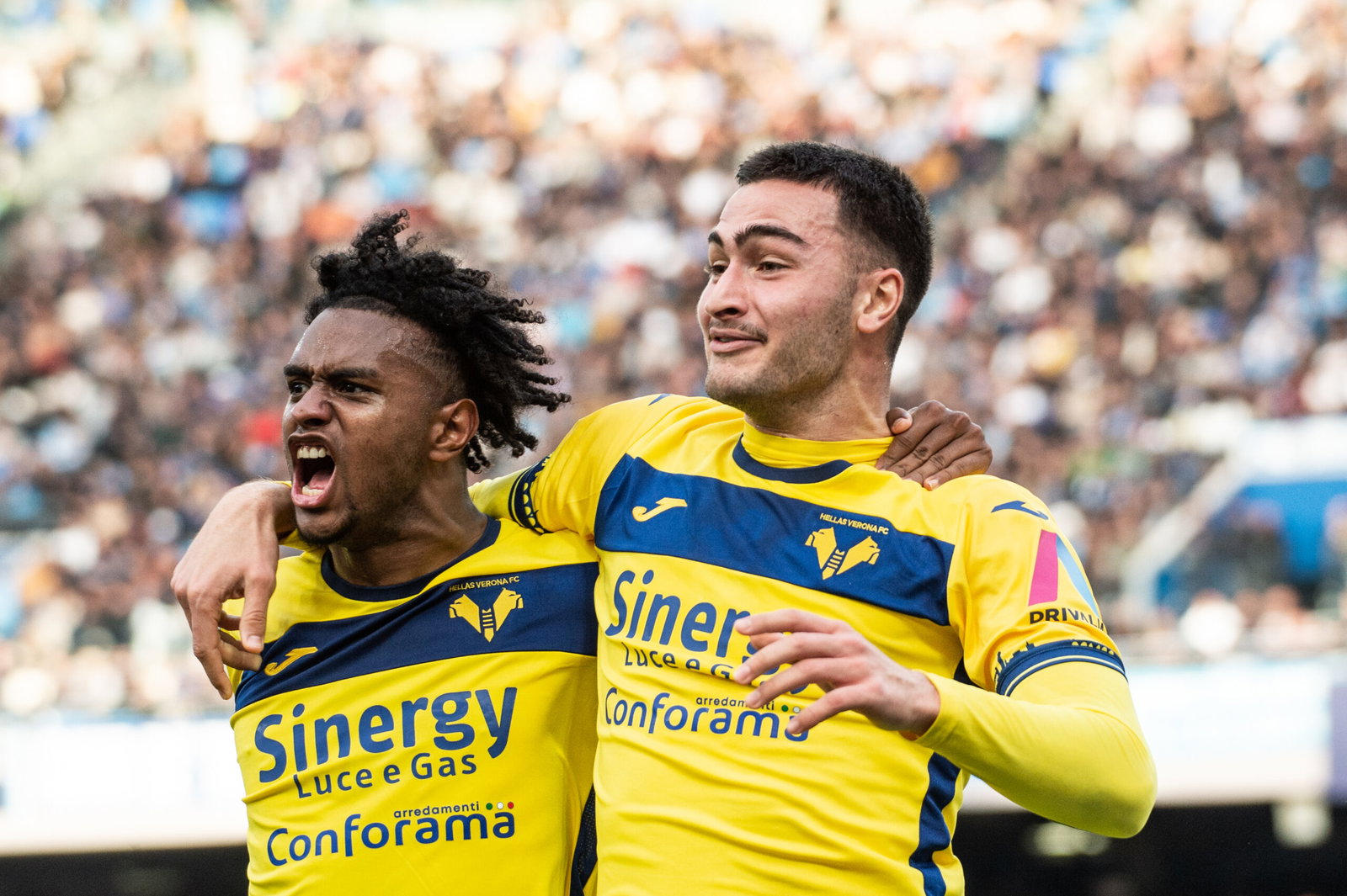 Soccer players celebrate goal.