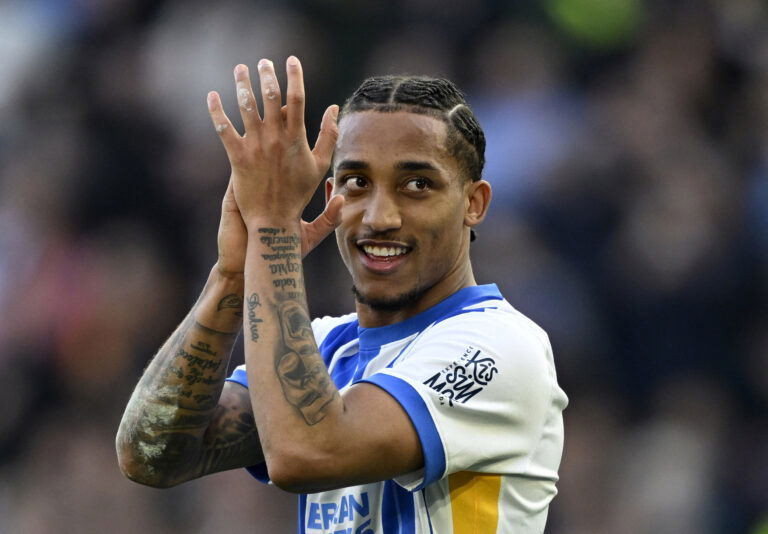 Premier League - Brighton & Hove Albion v Fulham