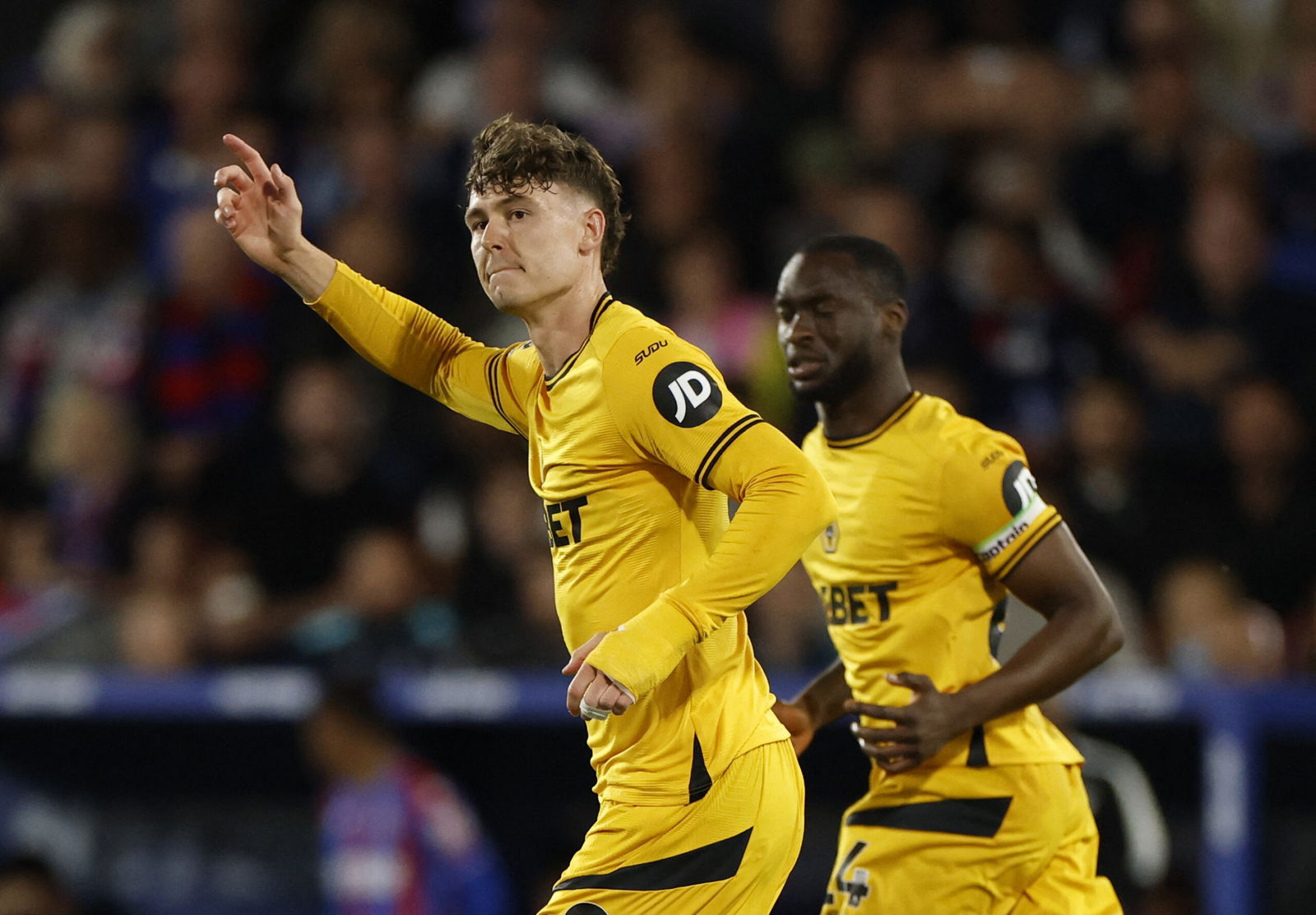 Premier League - Crystal Palace v Wolverhampton Wanderers