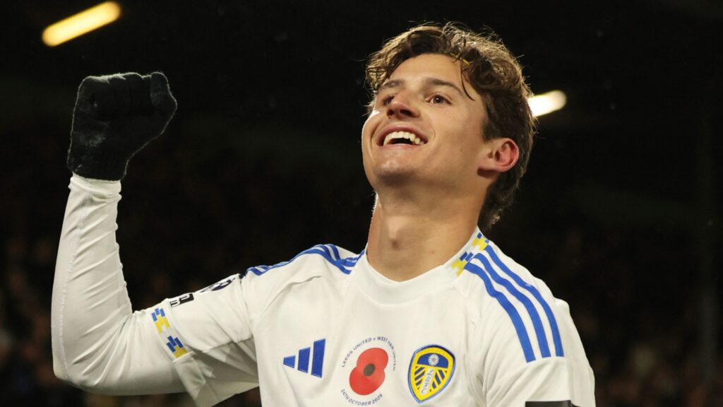 Leeds United's Brenden Aaronson during a Premier League match.