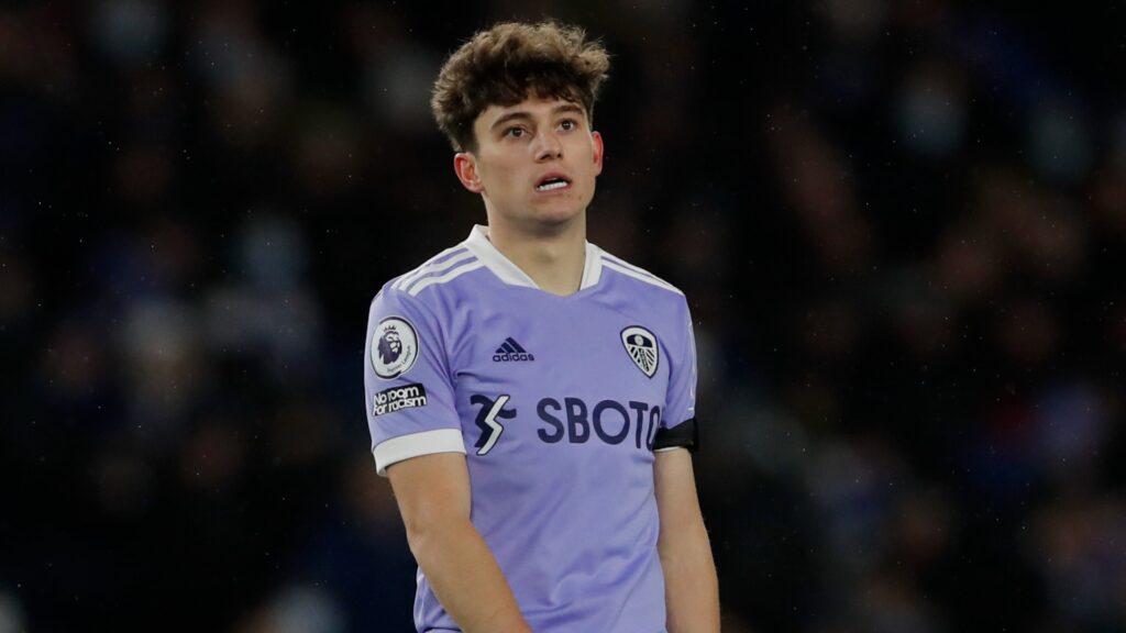 Leeds United's Daniel James during a Premier League match.